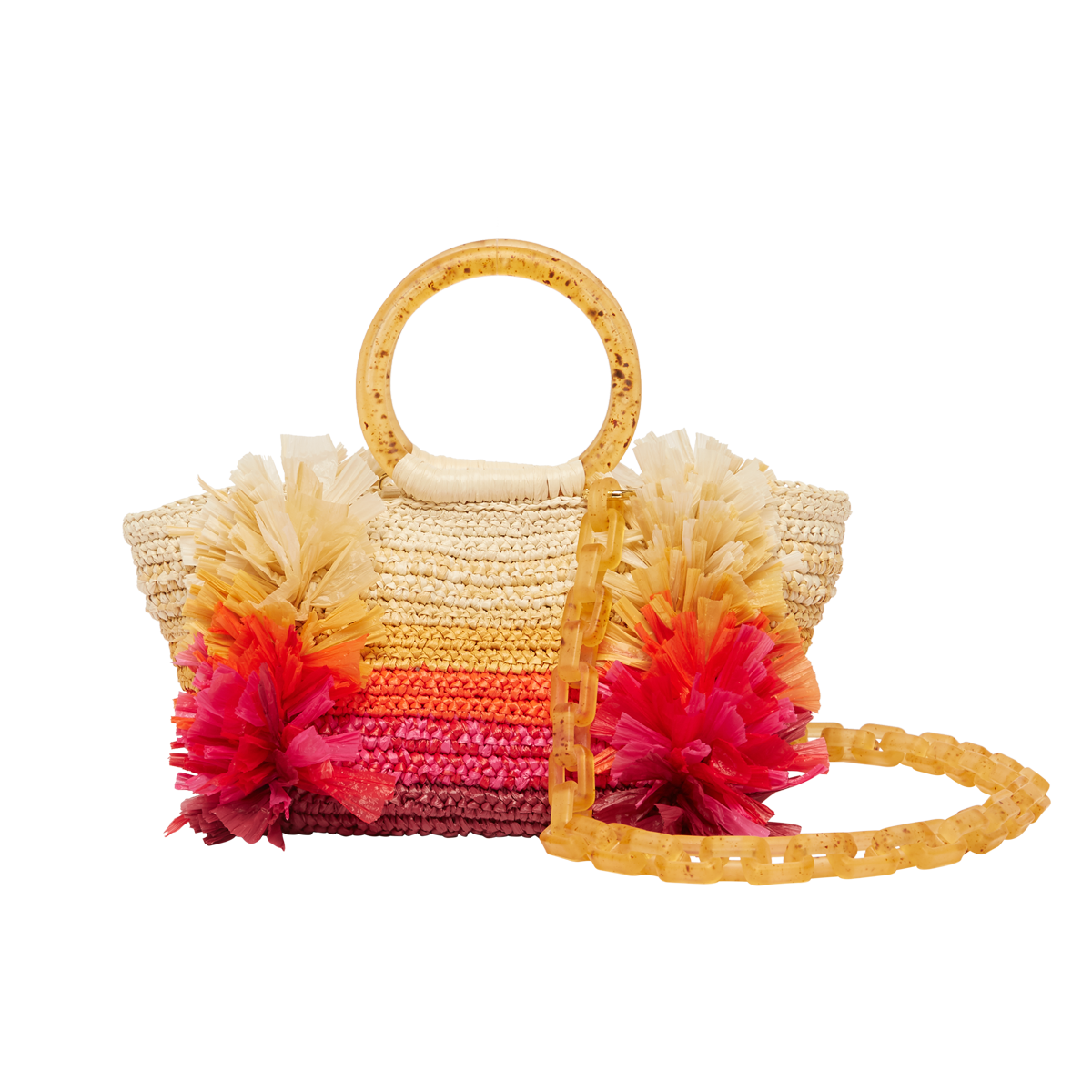 Corallina carolina santo domingo